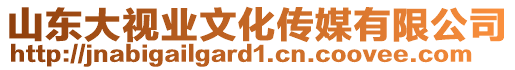 山東大視業(yè)文化傳媒有限公司