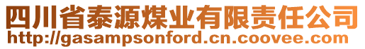 四川省泰源煤业有限责任公司