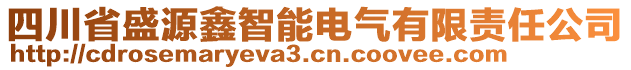 四川省盛源鑫智能電氣有限責任公司