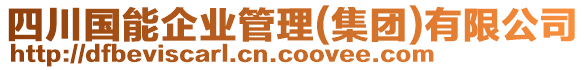 四川國能企業(yè)管理(集團(tuán))有限公司