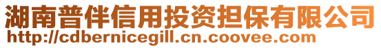 湖南普伴信用投資擔保有限公司