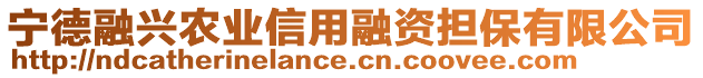 寧德融興農(nóng)業(yè)信用融資擔保有限公司