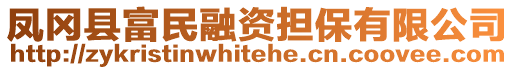 鳳岡縣富民融資擔保有限公司