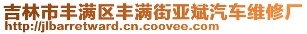 吉林市豐滿區(qū)豐滿街亞斌汽車維修廠