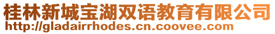 桂林新城寶湖雙語(yǔ)教育有限公司