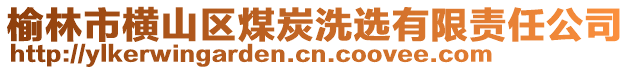 榆林市橫山區(qū)煤炭洗選有限責(zé)任公司