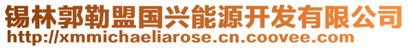 锡林郭勒盟国兴能源开发有限公司