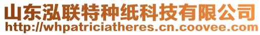 山東泓聯(lián)特種紙科技有限公司