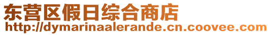 東營區(qū)假日綜合商店