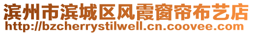 濱州市濱城區(qū)風(fēng)霞窗簾布藝店