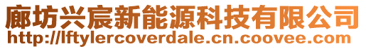 廊坊兴宸新能源科技有限公司