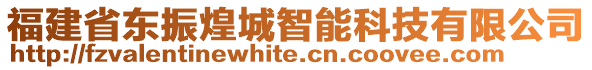 福建省東振煌城智能科技有限公司