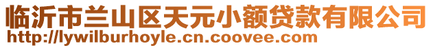 临沂市兰山区天元小额贷款有限公司