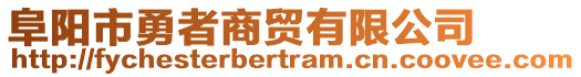 阜陽(yáng)市勇者商貿(mào)有限公司