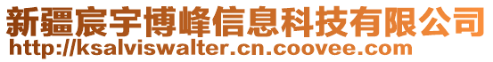 新疆宸宇博峰信息科技有限公司