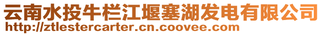 云南水投牛栏江堰塞湖发电有限公司