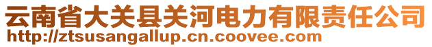 云南省大關(guān)縣關(guān)河電力有限責(zé)任公司