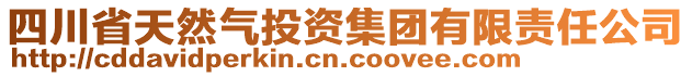 四川省天然氣投資集團有限責(zé)任公司