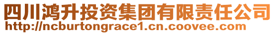 四川鴻升投資集團(tuán)有限責(zé)任公司