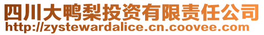 四川大鴨梨投資有限責任公司