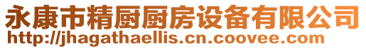 永康市精廚廚房設備有限公司