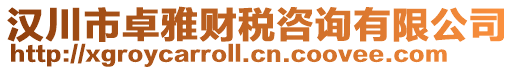 漢川市卓雅財稅咨詢有限公司