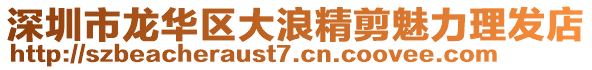 深圳市龍華區(qū)大浪精剪魅力理發(fā)店