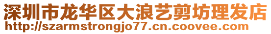 深圳市龍華區(qū)大浪藝剪坊理發(fā)店