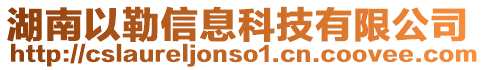 湖南以勒信息科技有限公司