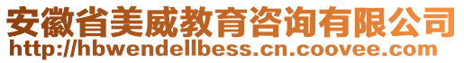 安徽省美威教育咨詢有限公司