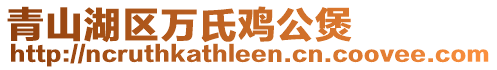 青山湖區(qū)萬氏雞公煲