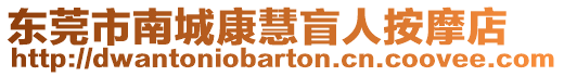 東莞市南城康慧盲人按摩店