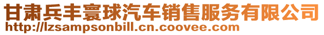 甘肅兵豐寰球汽車銷售服務有限公司