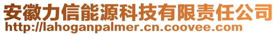 安徽力信能源科技有限责任公司