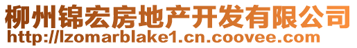 柳州錦宏房地產(chǎn)開發(fā)有限公司