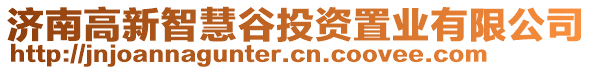 濟(jì)南高新智慧谷投資置業(yè)有限公司