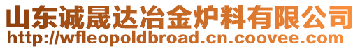 山東誠晟達(dá)冶金爐料有限公司