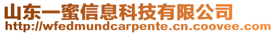 山东一蜜信息科技有限公司