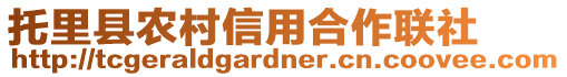 托里縣農(nóng)村信用合作聯(lián)社