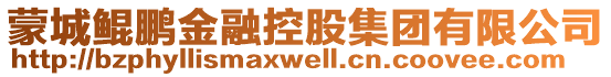 蒙城鯤鵬金融控股集團(tuán)有限公司