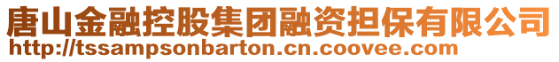 唐山金融控股集團(tuán)融資擔(dān)保有限公司