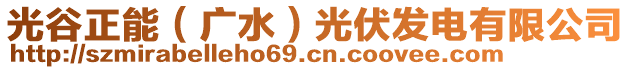 光谷正能（广水）光伏发电有限公司