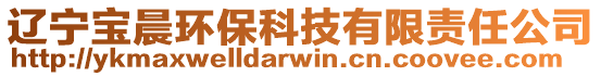 遼寧寶晨環(huán)保科技有限責任公司