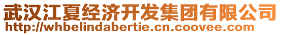 武漢江夏經(jīng)濟(jì)開發(fā)集團(tuán)有限公司