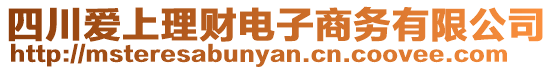 四川愛上理財(cái)電子商務(wù)有限公司