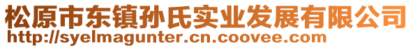 松原市東鎮(zhèn)孫氏實業(yè)發(fā)展有限公司