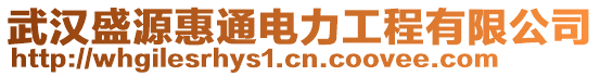 武漢盛源惠通電力工程有限公司