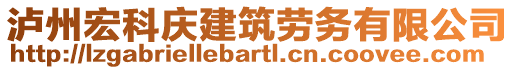 瀘州宏科慶建筑勞務(wù)有限公司