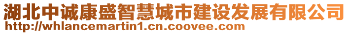 湖北中誠(chéng)康盛智慧城市建設(shè)發(fā)展有限公司