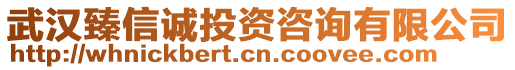 武汉臻信诚投资咨询有限公司